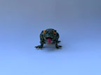 Spotted Green Frog with Orange Eyes | Handmade Frog Sculpture